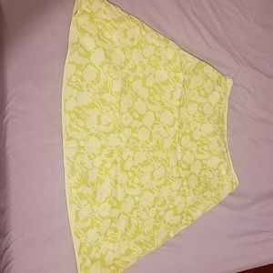 ANN Taylor Skirt